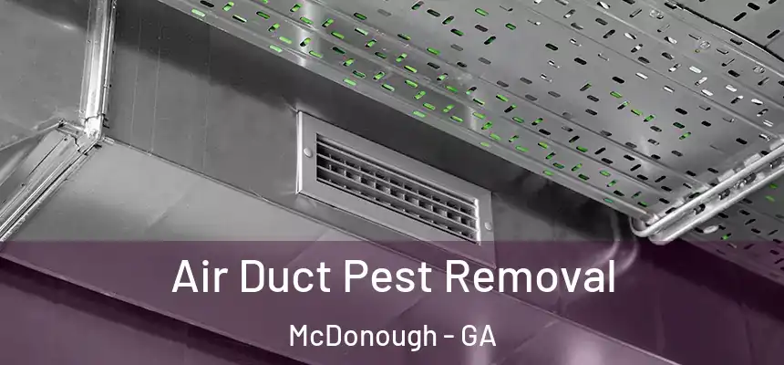  Air Duct Pest Removal McDonough - GA