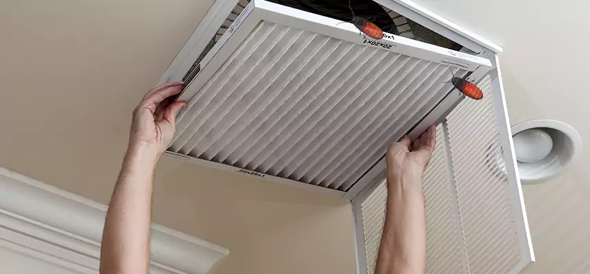 Preventive Cockroach-Proofing for Ducts in McDonough
