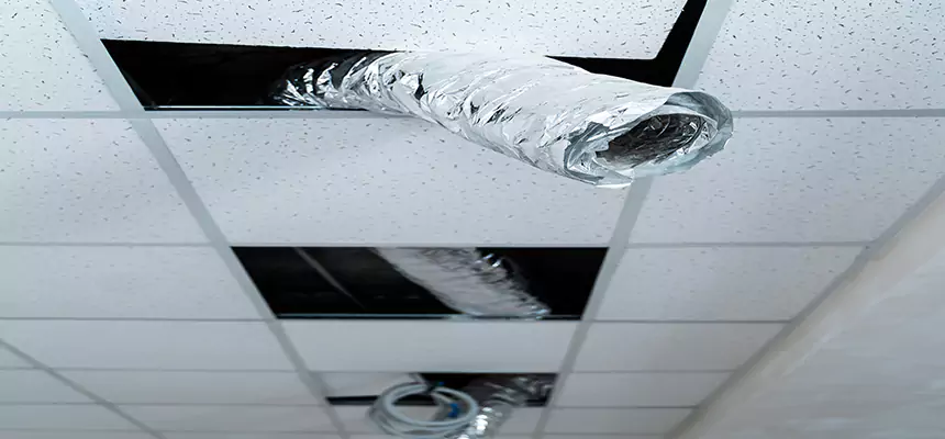 Our Air Duct Pet Hair Removal Services in McDonough, GA