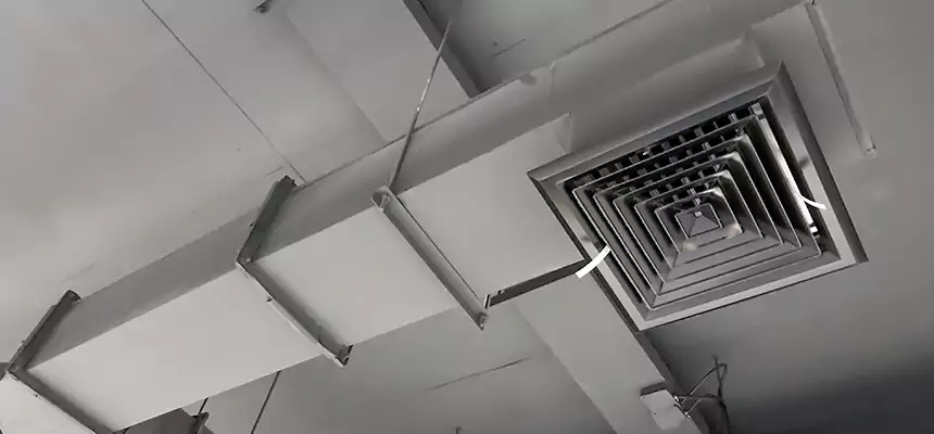 Our Rodent Droppings In Vents Services in McDonough, GA