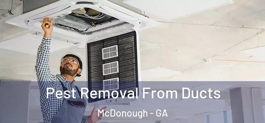  Pest Removal From Ducts McDonough - GA