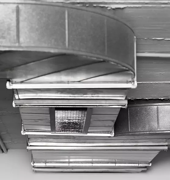 Professional Air Duct Pet Hair Removal in McDonough, GA