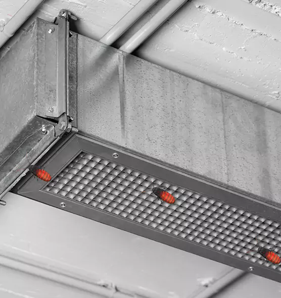 Affordable Insect Removal from Air Ducts in McDonough, GA