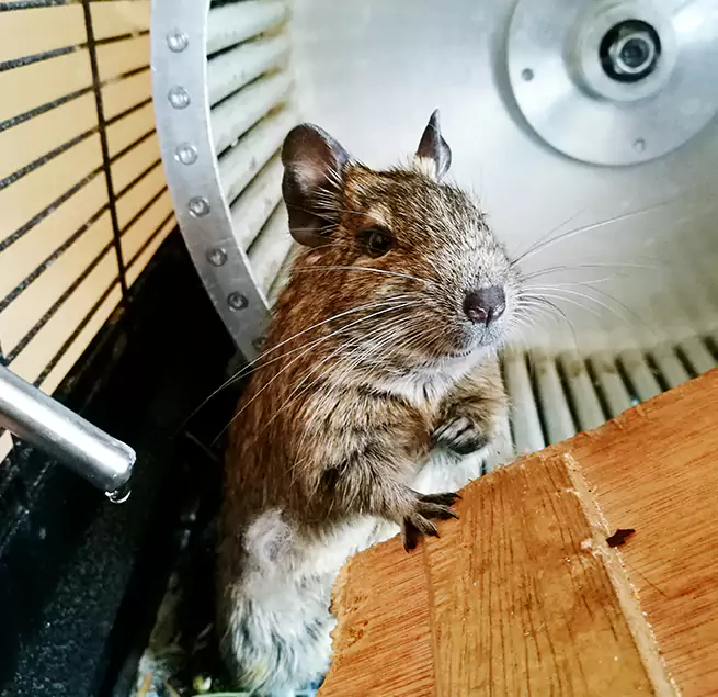 Why Homeowners & Businesses Trust Us McDonough, GA?