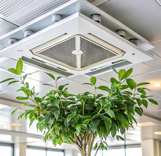 Why Homeowners & Businesses Trust Us in McDonough, GA?